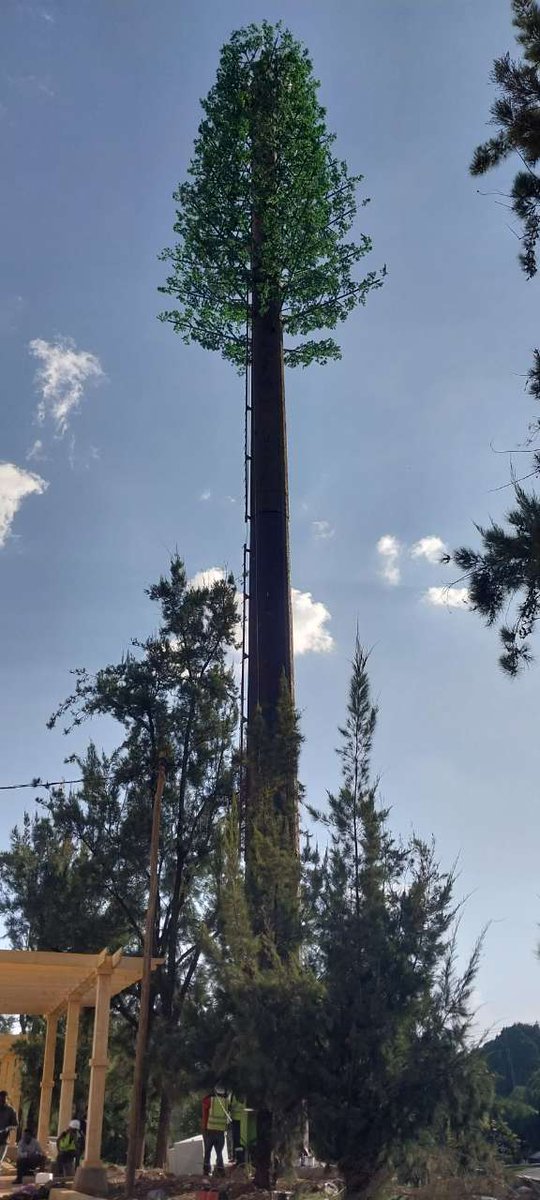 WodaMetal's tweet photo. Overflowing with joy and pride as we contribute to the telecom sector! 

A 35m pine tree camouflaged tower, a marvel of design and manufacturing, has been successfully installed in the heart of Addis Ababa, Ethiopia for our valued client @ethiotelecom https://t.co/8GQXCYFvh5