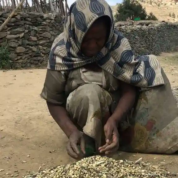 Danayit Tigrawyti🍓 (@danuyetigray) on Twitter photo 🙏 Save Tigray, Save Lives 🙏
Every life lost in Tigray is one too many. <a href="/USAID/">USAID</a> and <a href="/WFP/">World Food Programme</a>, the world implores you to act swiftly, transparently & decisively. Lives are hanging in the balance. The people of #Tigray need your help now. #EmergencyInTigray 🙏 Save Tigray, Save Lives 🙏
Every life lost in Tigray is one too many. <a href="/USAID/">USAID</a> and <a href="/WFP/">World Food Programme</a>, the world implores you to act swiftly, transparently & decisively. Lives are hanging in the balance. The people of #Tigray need your help now. #EmergencyInTigray
