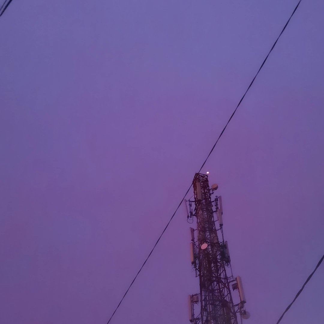 rosesisrose's tweet photo. ☁️⁹ ⋆｡ﾟ☁︎｡⋆｡ ﾟ☾ ﾟ｡⋆ https://t.co/6XrKgHaVXB