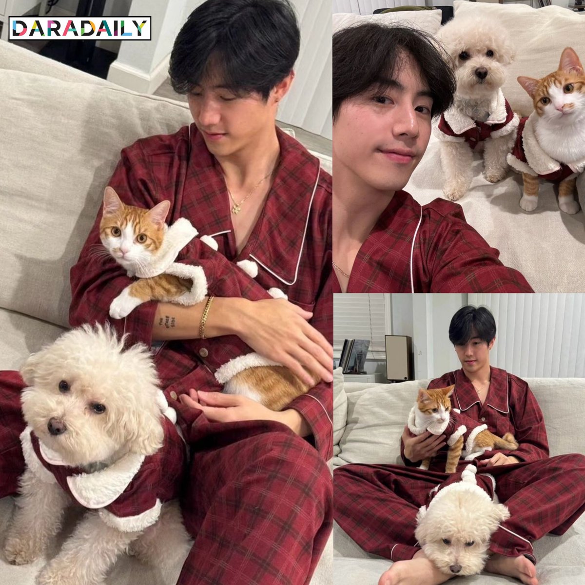 daradaily tweet picture