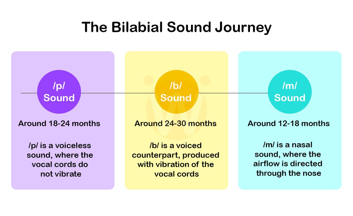 Children's speech sounds develop in stages, and 'The Bilabial Sound Journey' infographic is your guide from /p/ to /m/! 🗣️💡

For more insights into speech development, read our latest blog post. 📘

🔗 mywellnesshub.in/blog/
 #EdChat #SLPeeps #EarlyEd #ChildSpeech #Infographic