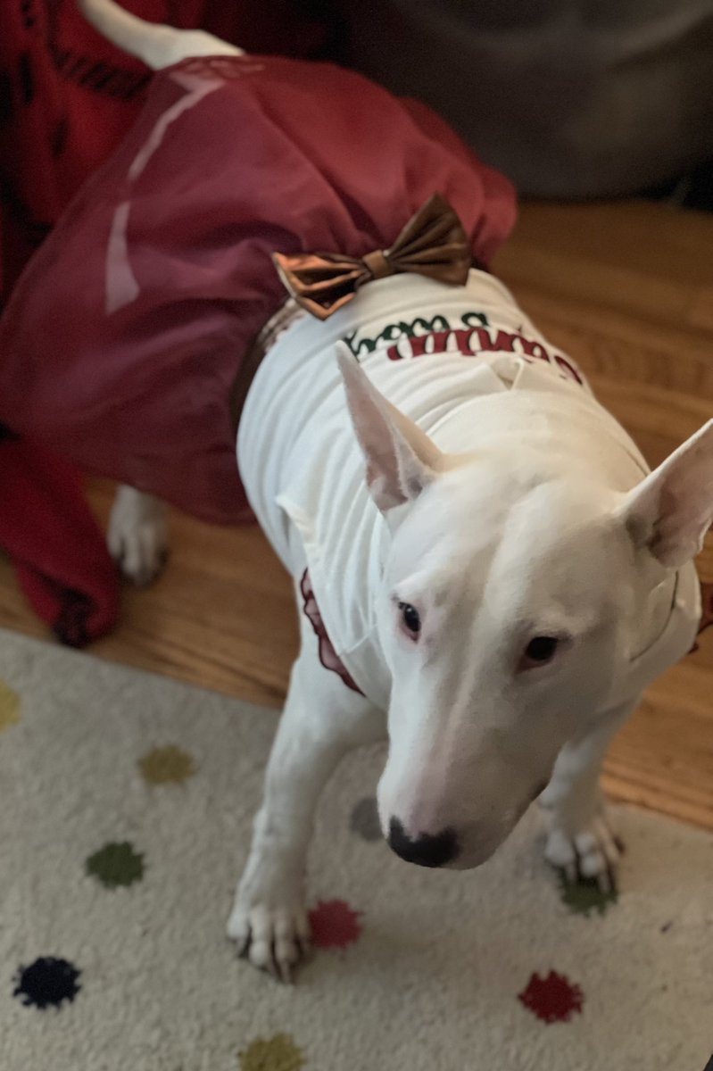 OliveAndEverton tweet media