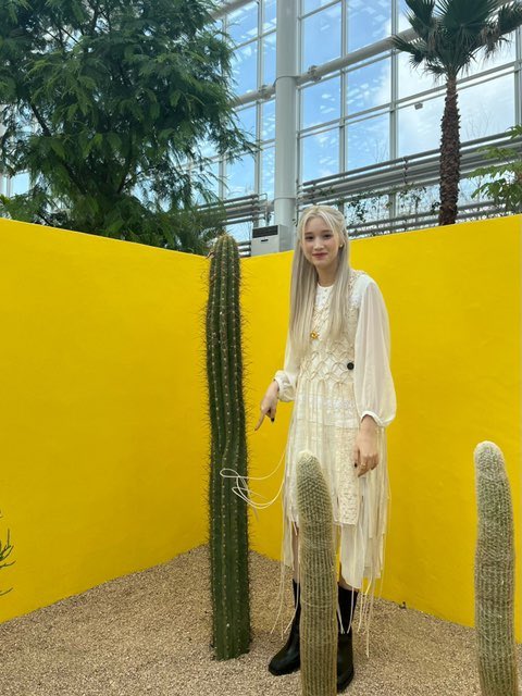 ㅤ
ㅤ      冲击 . catch ur eyes, catch ur mind!
              𝕂𝗘𝗡𝗦𝗛𝟙𝗡 💘𖤐💐 𝚗ew updat𝚎.
ㅤ