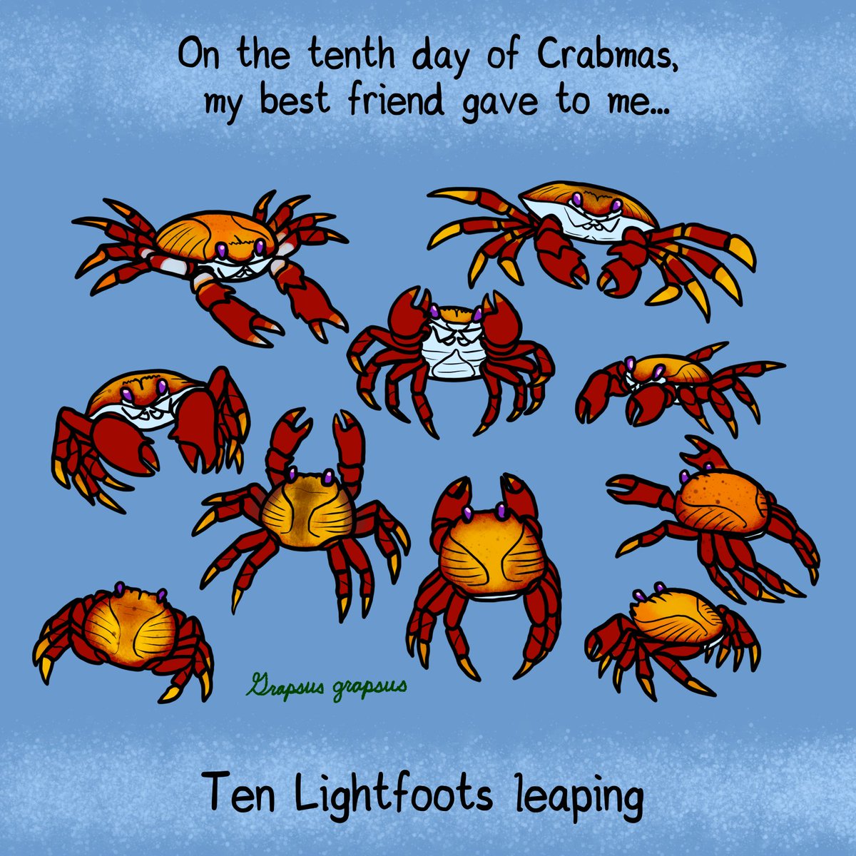 KetrinaYim's tweet photo. On the tenth day of Crabmas, my best friend gave to me:
Ten Lightfoots leaping (Grapsus grapsus)
#decapocember #decapod #crustacean #crab #sallylightfootcrab #crabmas #12daysofchristmas #art https://t.co/9lnloYAN7D