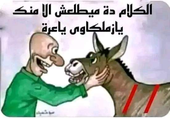 Hemoooo90's tweet photo. @galalyassin1 @omar_alzhra https://t.co/DcA8e5Wj2E