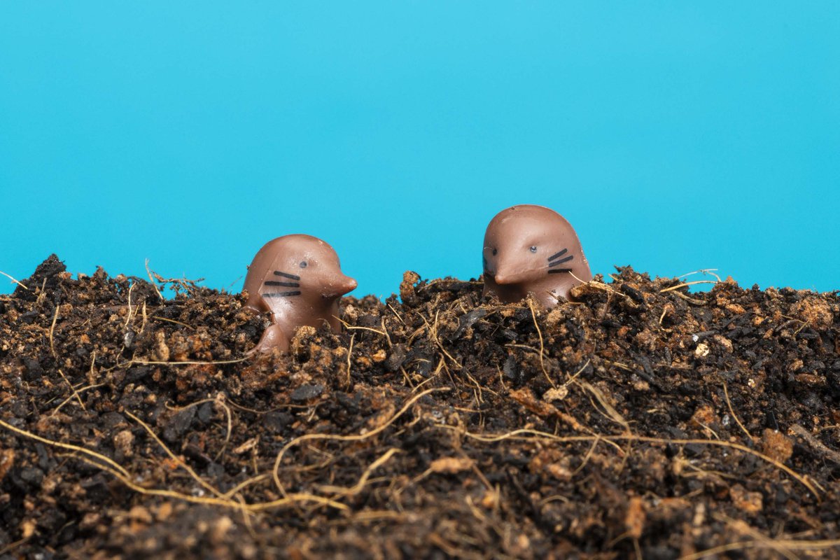 驚愕のカプセルトイ爆誕！】 キミたちは知っているか。 土の中のモグラ