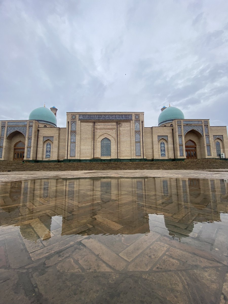 Said Mahmood Kasany tweet media