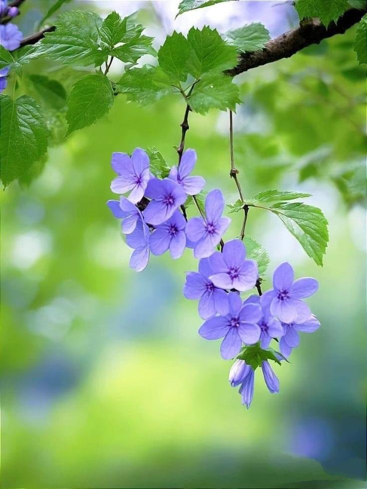 Đừng chỉ đến bên tôi khi bạn muốn
Đừng chỉ đến tìm tôi lúc bạn cần
Rồi quay lưng như chưa từng quen biết
Khi cuộc đời tôi sẩy bước sa chân.

Bạn biết không cuộc đời kỳ lạ lắm
Luật trả vay nhân quả lại quá gần
Nên người có một ánh nhìn thực dụng