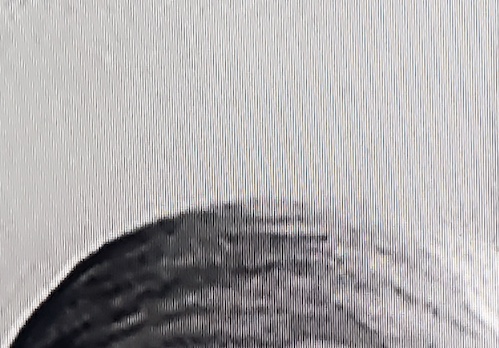 Mr. Green, to you tweet media