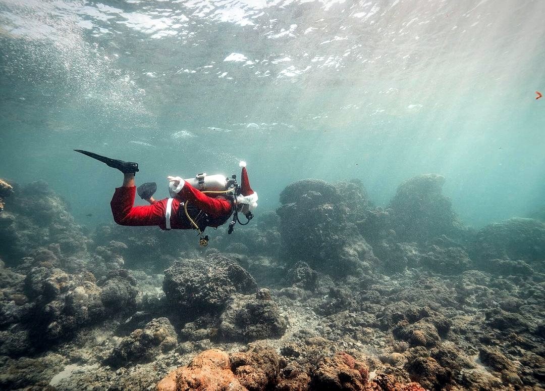 Wishing you a season that’s merry and bright!

#MerryChristmas 
#Xmas2023 
#didim #bodrum #scuba #diving