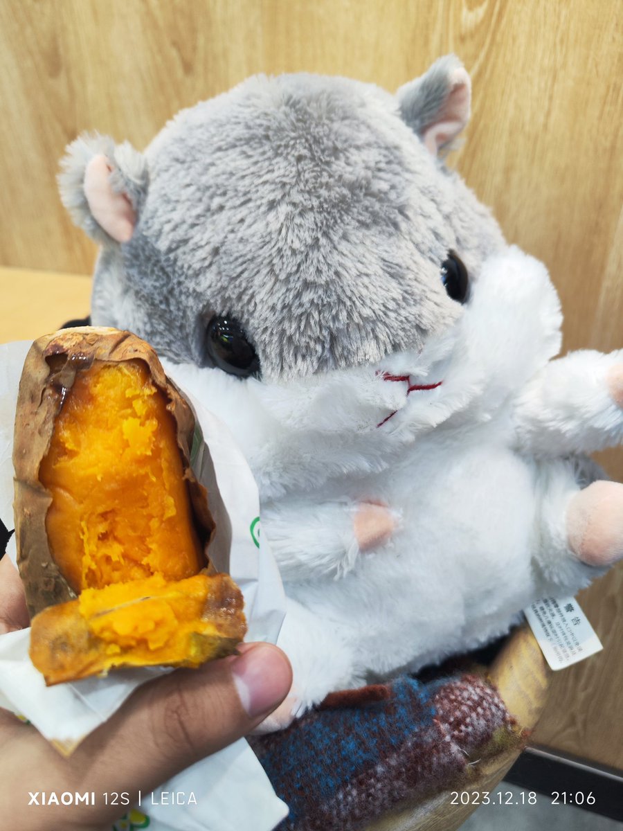 浊酒青灯。 tweet media