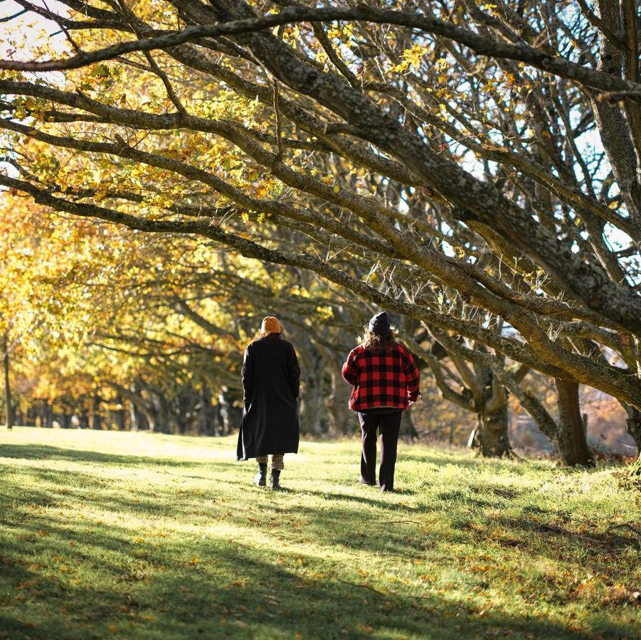 Cowdray Estate tweet media