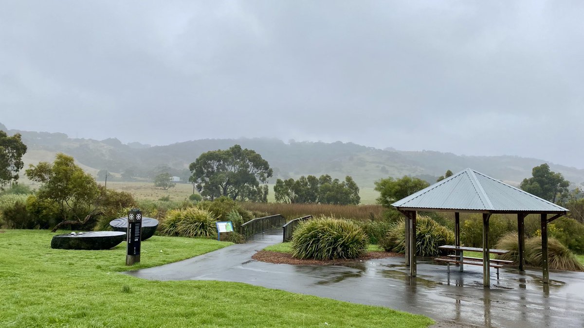 mitzyelliott's tweet photo. Summer in Oz 🤣🤣… a drizzly 14°C in #MtCompass today.
I had a busy day on the road at work #communitynurse but managed to grab some pics for #thicktrunktuesday
🌳💚😃 https://t.co/neAs6F6ovA