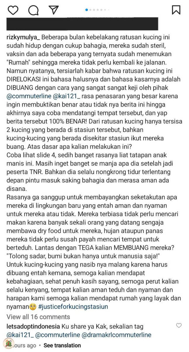Dari IG story letsadoptindonesia 😭 jahat banget 🐈 stasiun pada dibuangin padahal udah disteril dan divaksin supaya mereka sehat dan ga overpopulasi jadi ga ganggu kenyamanan penumpang stasiun. Bumi milik bersama, kenapa manusia egois banget ga mau berbagi dgn mahkluk lain.