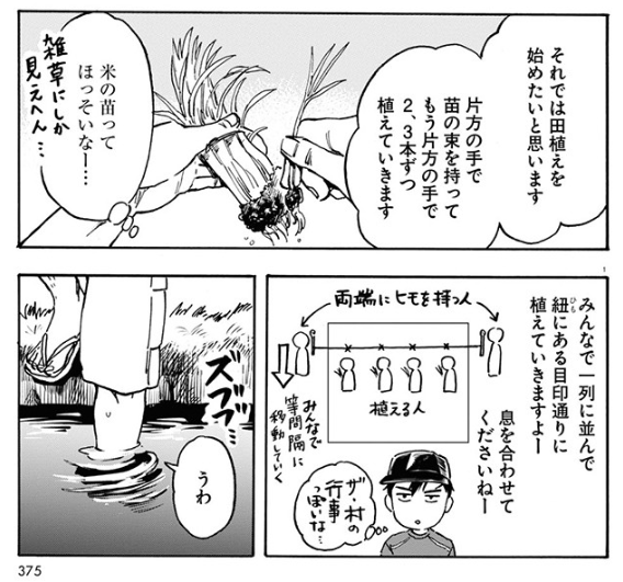 「村社会」について学ぶぶんには興味深くてすごく好きですね。昔、田植えと刈り入れは村の皆で、の風習だったとか。そうしないと終わらないですから。 ▼これまでの話 kawamuramarina.com/2022/10/0… ▼一巻発売中 #滋賀県 #漫画