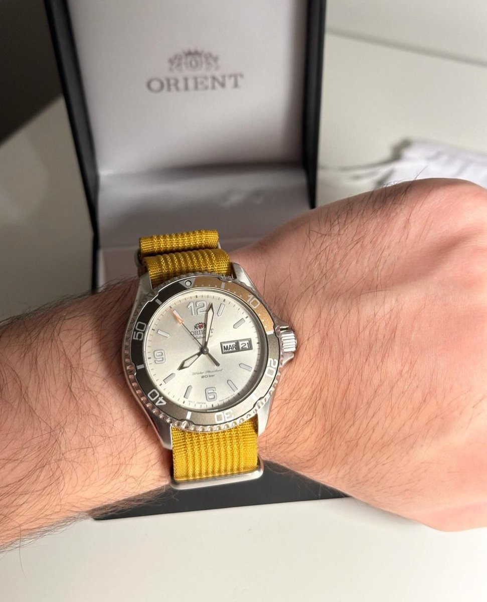 GM FAM ☀️🫶

Special day - Special watch from my collection. Orient Mako lll with special dial and premium strap added by me 💛

Say GM , Receive GM  🫂

#NFT #Watch