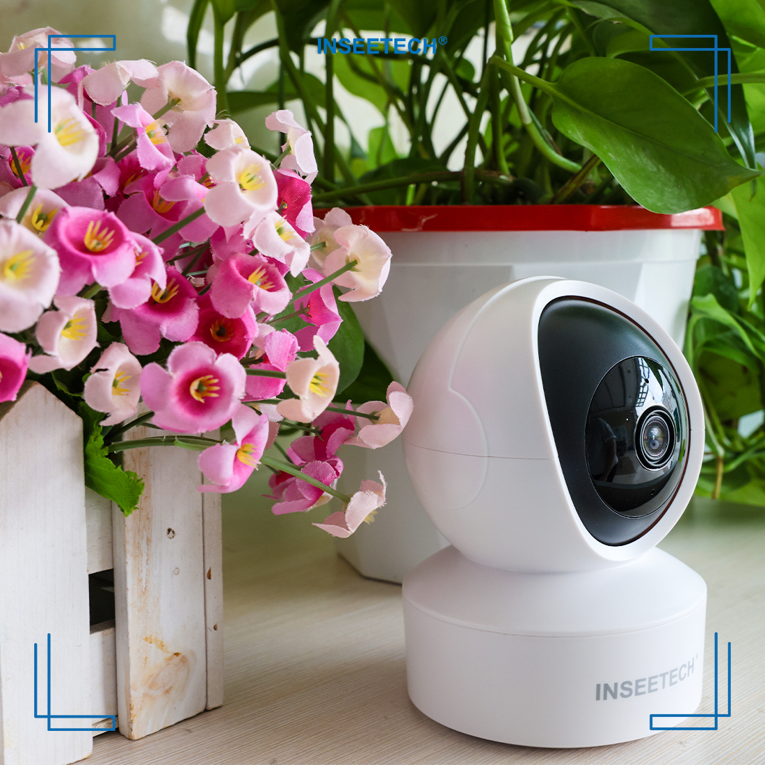 inseetech's tweet photo. How is your Christmas? 🎄✨ What a cherished moment with family and friends! 🥰 Wish you safe and sound with INSEETECH Cameras. 📷🎁

🔗 https://t.co/h8KjQfgFri

#Christmas #seuritycamera #safe https://t.co/iGdm4vENlV