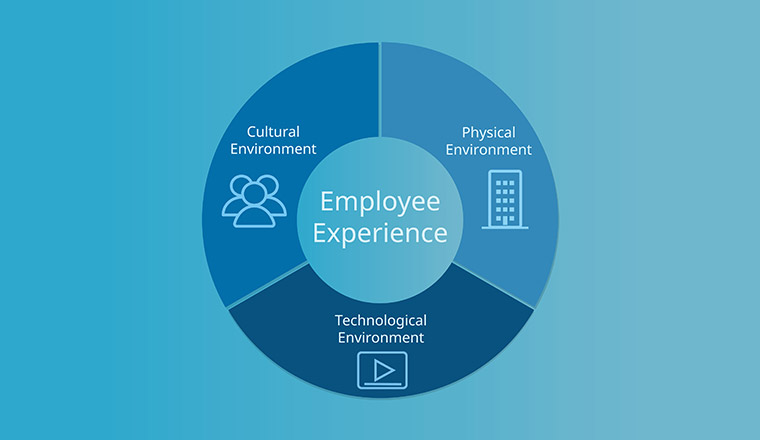 ama_aleid's tweet image. #Employee_Experience 
تجربة الموظف هي تشابه تجربة العميل. الموظفين هم العملاء الداخلون في المنظمة. لذا يجب فهم احتياجاتهم وتوقعاتهم ومخاوفهم.
وتتركز تجربة الموظف على ثلاث محاور اساسية.
1- التجربة البيئية والجسدية
2-التجربة الرقمية 
3- التجربة الثقافية