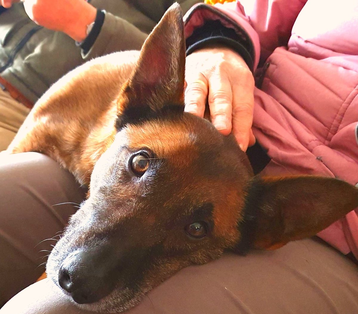 evlieg's tweet image. #hodos #deweg #dewaarheid#leven