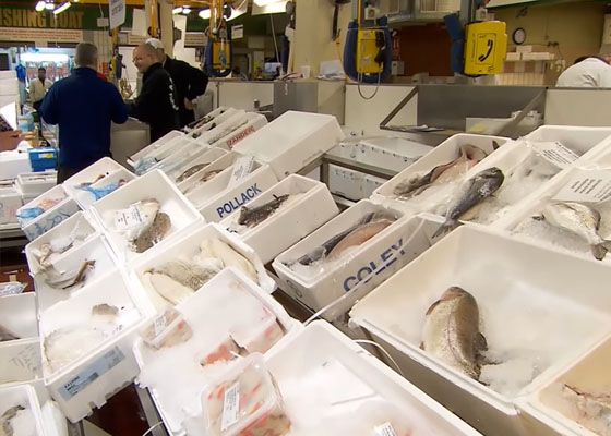 intcogreenmax's tweet photo. Countless foam boxes are consumed by the seafood industry and discarded into landfills every year, which is actually a desirable material.
#INTCO Recycling has helped many seafood companies in coastal countries recycle #foam fish boxes, turning this waste into a source of income. https://t.co/lVWkF3wSB3