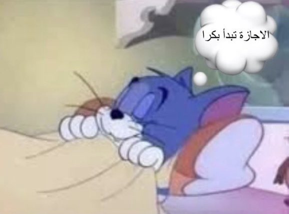 just_raseell's tweet photo. اصعب حاجة : مُذاكرة اخر اختبار 🦦
المخ مايدري يفكر بالمذاكرة ولا ايش يسوي بالإجازة https://t.co/TncteJn9qj