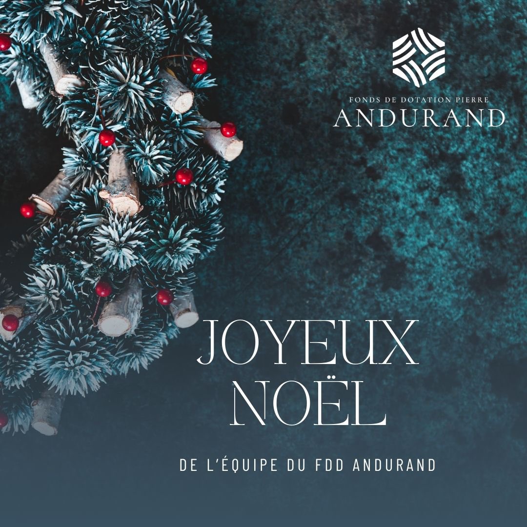 À tous ses amis et ses partenaires, l’équipe du FDD #ANDURAND souhaite un #Noël étincelant!
Bonne humeur et sérénité pour la fête de la nativité.