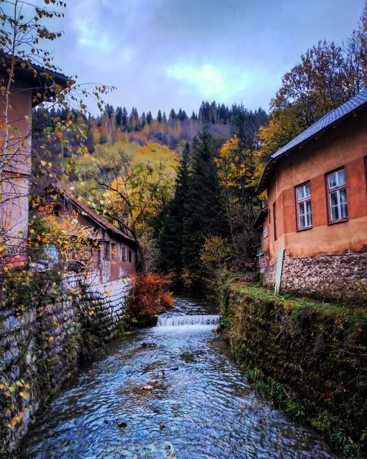 kozacitac's tweet photo. "Nije važno odakle si, sve dok znadeš kuda putuješ"
#'vareš #jezeronula #rudari #filmskigrad https://t.co/1362Hxrr61