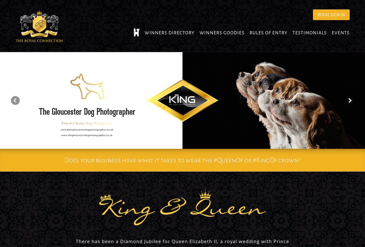 Capture your four legged family members! Check out #KingOf winner <a href="/DogGloucester/">The Gloucester Dog Photographer</a> for creative photography! :-) #Dogs #Pets #photographer #photography #NewYear2024 #SmallBusiness