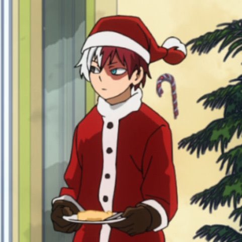 daily todoroki tweet media