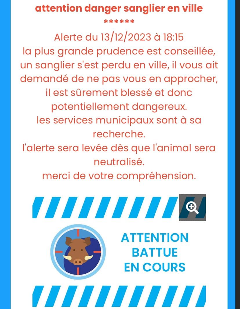 FrancAller_info's tweet image. Décès accidentel d'un riverain à #Gaillon #Eure en raison d'un tir sur un #sanglier, en ville, retour au réel ?

La #gendarmerie et les agents municipaux sont intervenus en raison de la présence d'un sanglier errant dans le centre-ville, qui aurait percuté