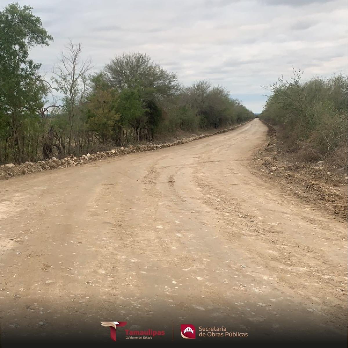 Continúa el programa 2023 de Rehabilitación de Caminos Rurales, con los trabajos de revestimiento con material banco en el tramo del km 9+100 al km 9+500 en el ejido Corralejos y ejido La Gavia en el municipio de #SanCarlos.