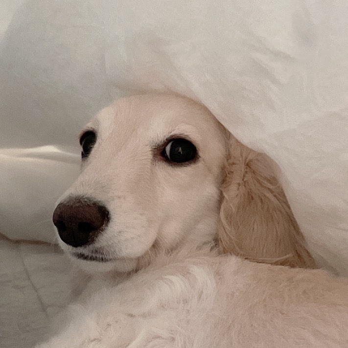 smatether64303's tweet image. 😀😀