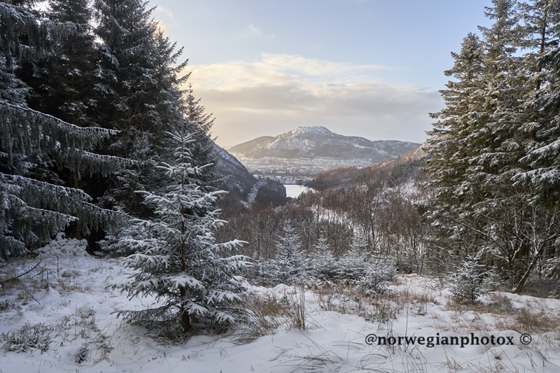 20: Winter Mood. @norwegianphotox ©