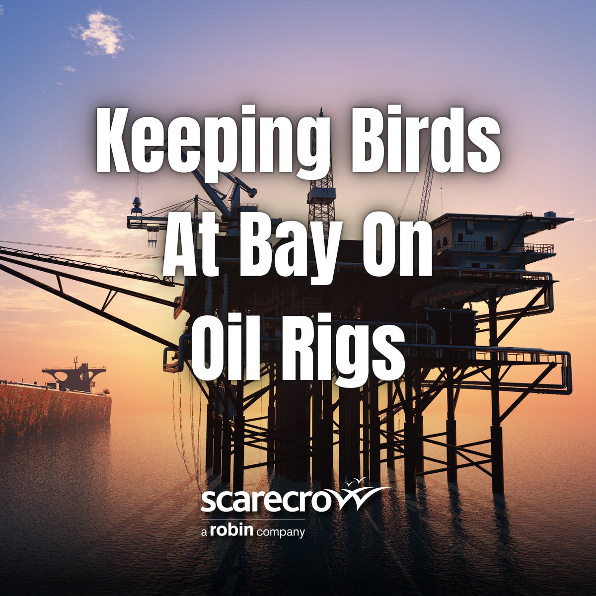 ScarecrowGroup_'s tweet photo. 🛢️🌐 Dive into the world of oil and gas platform management with this eye-opening blog post! Discover insights on keeping feathered friends at bay in critical environments.
👉 Read here: https://t.co/aA04I7EWQU
 #OilAndGasIndustry #EnvironmentalResponsibility #Sustainability https://t.co/yqqzIpvZ4p