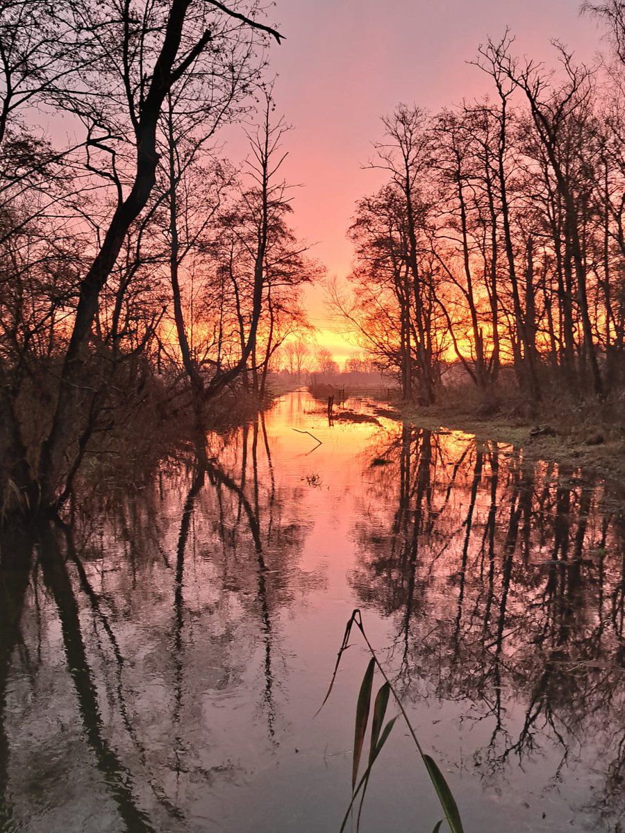 Hawkandowluk's tweet photo. Kick-start your post-Christmas adventures! Sculthorpe Moor is back open for all to explore from Wed 27th Dec, 9 AM onwards. Nature awaits! #SculthorpeMoor #OpenAgain" https://t.co/tgQO6U7wVa