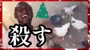画像 / Picture