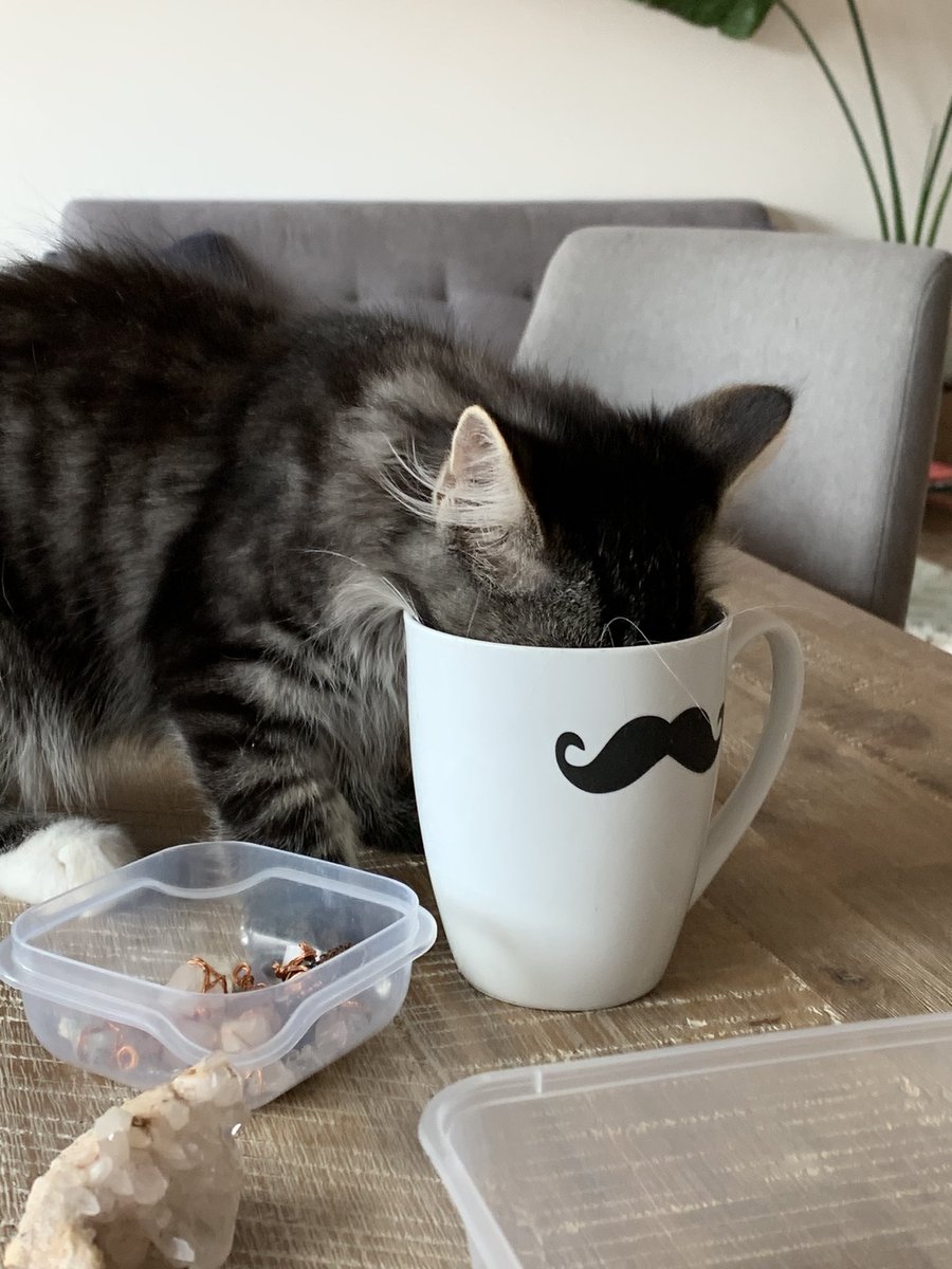 loosh404's tweet photo. It is now back to Miso https://t.co/6qnKnd8HIZ