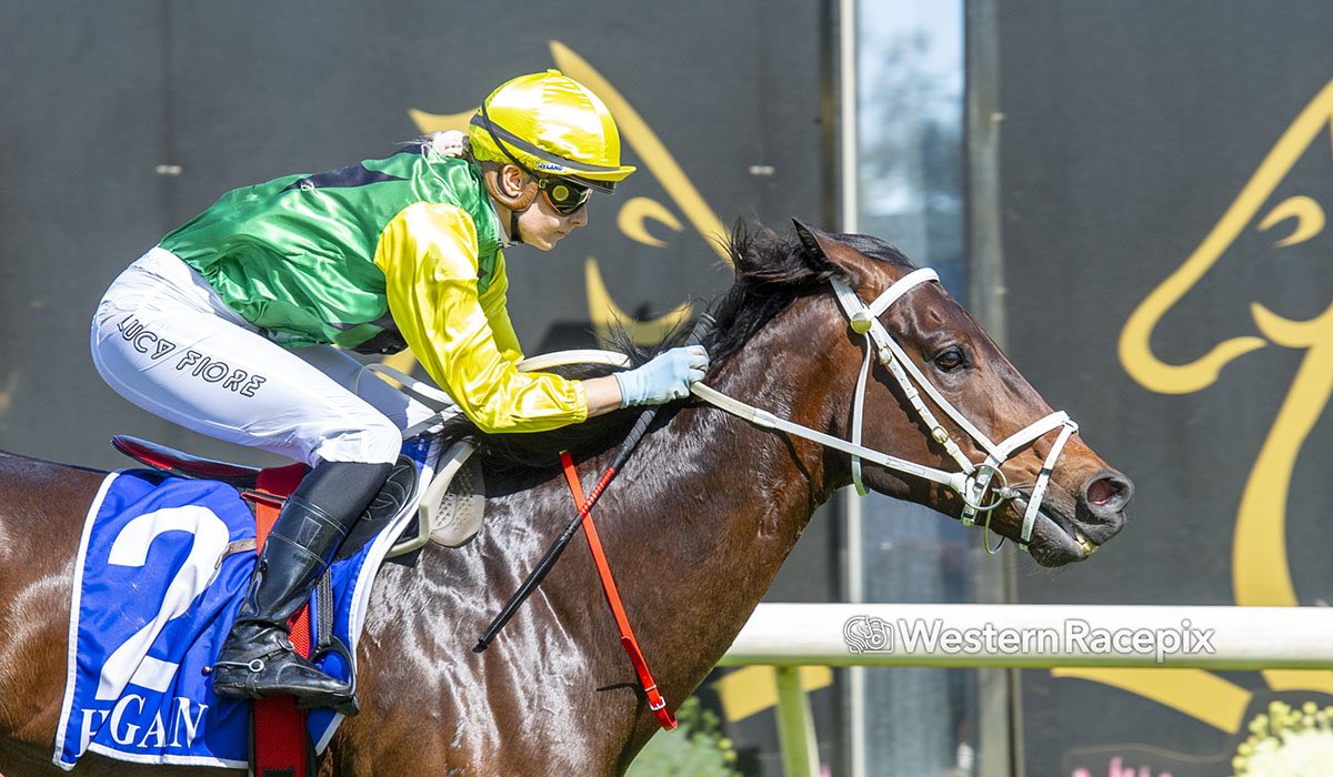 WesternRacepix's tweet photo. BOAB BOY - Pinjarra Tues 26th December @PinjarraPark #WesternRacepix #BoxingDayRaces
More ๐ธ https://t.co/SigLznY1t7 https://t.co/nngfacEO7b
