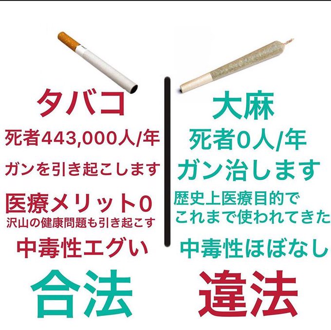 420forlove's tweet photo. @IuonEboscKbqzPq @teatimetoneco 蔓延る・・？😰 https://t.co/EgUjujpWD2