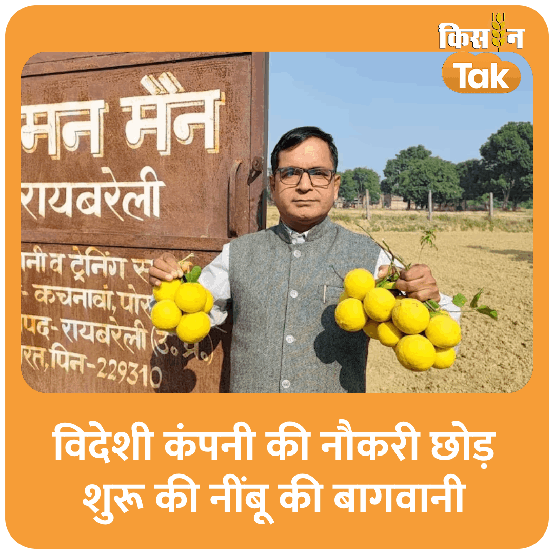 KisanTakChannel's tweet photo. इस 'लेमन मैन' किसान की पढ़ें #SuccessStory
#LemonMan
https://t.co/R8MWbDelKn https://t.co/3GJip45bJ1