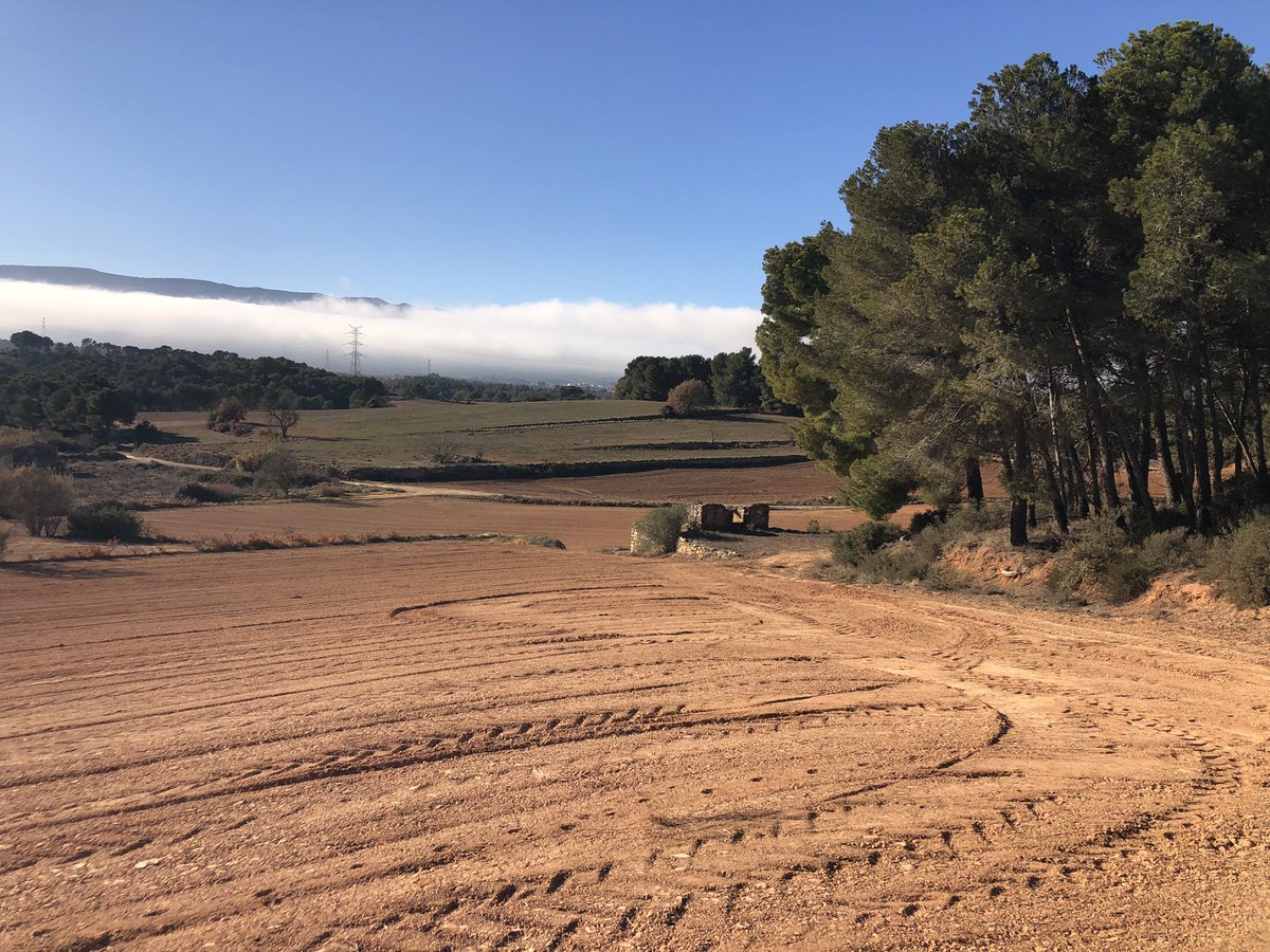 losbessons's tweet photo. Ahir, fugint de la boira, que ens agrada, però també ens agrada el sol #Nadal2023 #Ponentalfons #Boira #lesGarrigues #laConca https://t.co/CPXnu7L3ae