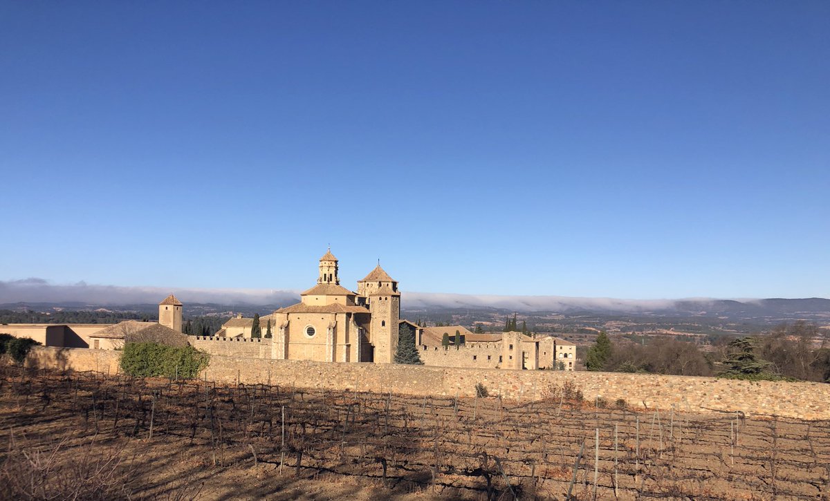 losbessons's tweet photo. Ahir, fugint de la boira, que ens agrada, però també ens agrada el sol #Nadal2023 #Ponentalfons #Boira #lesGarrigues #laConca https://t.co/CPXnu7L3ae