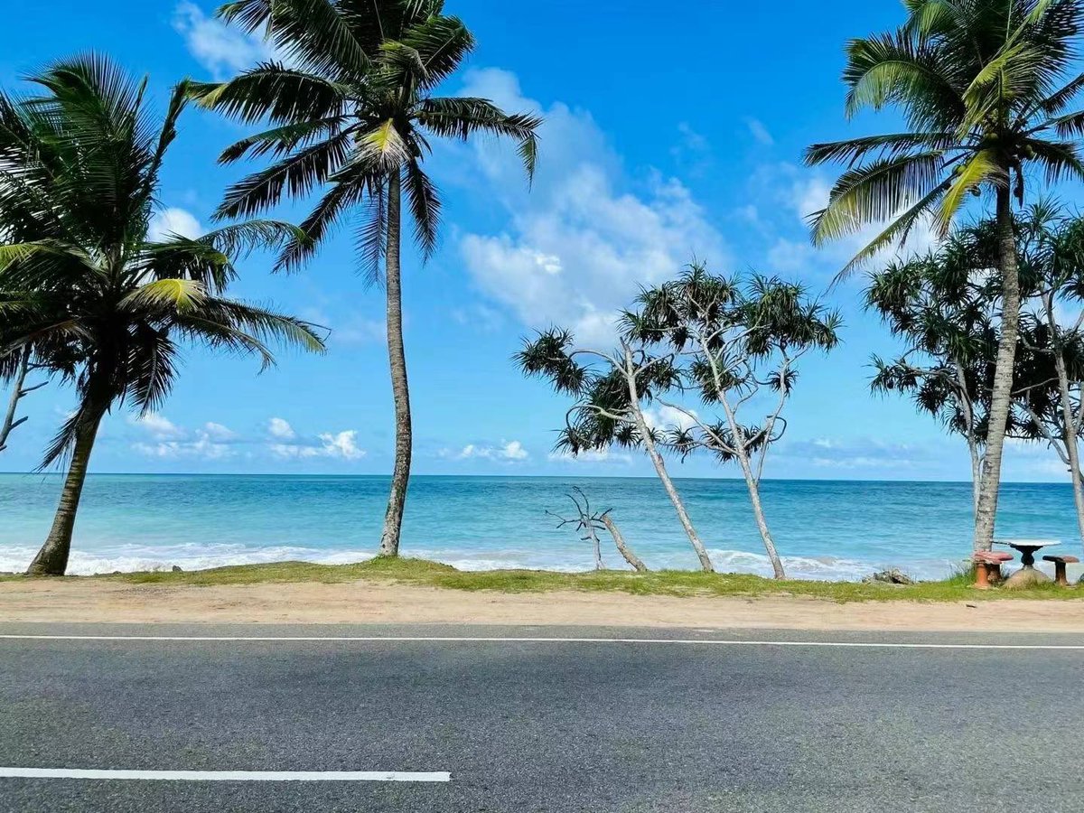 我跨越10000公里 
在宝石之国斯里兰卡🇱🇰
‼宝石采购倒计时2️⃣天‼️
‼️宝石采购倒计时2️⃣天‼️
‼️宝石采购倒计时2️⃣天‼️

万里迢迢来到斯里兰卡🇱🇰这里的价格真的是我们离宝石最近的一次，别问我下次什么时候来，未知数🤦实在太苦了☕️