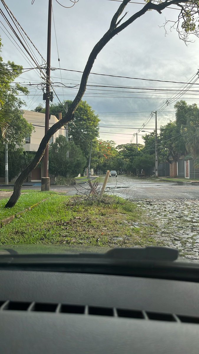 vicky ramirez tweet media