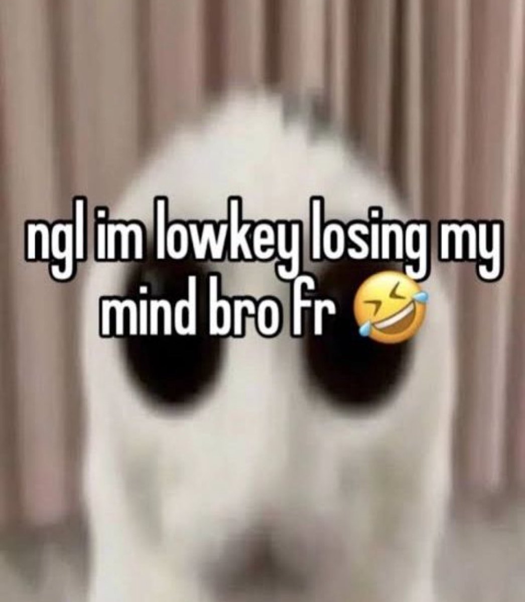 nocontextmemes's tweet photo. https://t.co/rnybJuQnC9