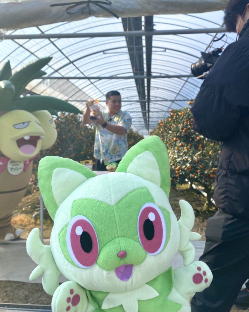 後ろでなにかやってるなぁ👀
#宮崎だいすきポケモン #ナッシー #きんかんたまたま