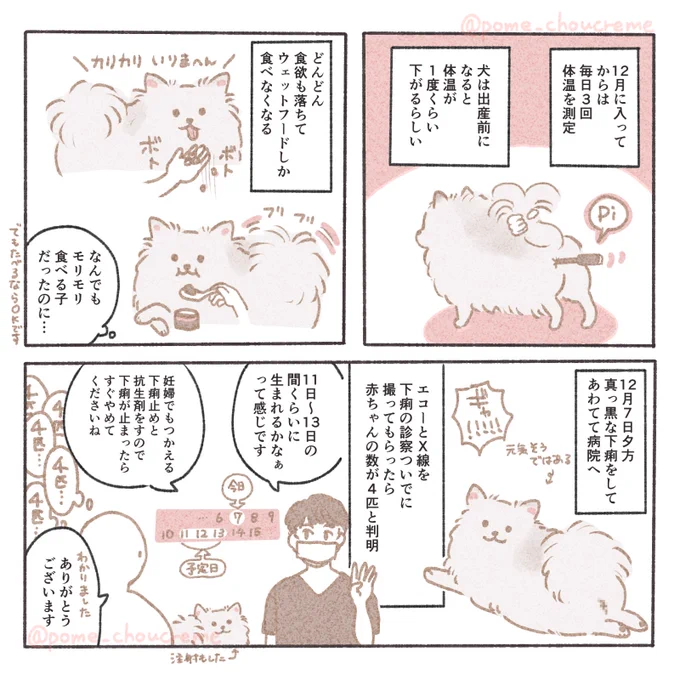 出産編②～⑤ 