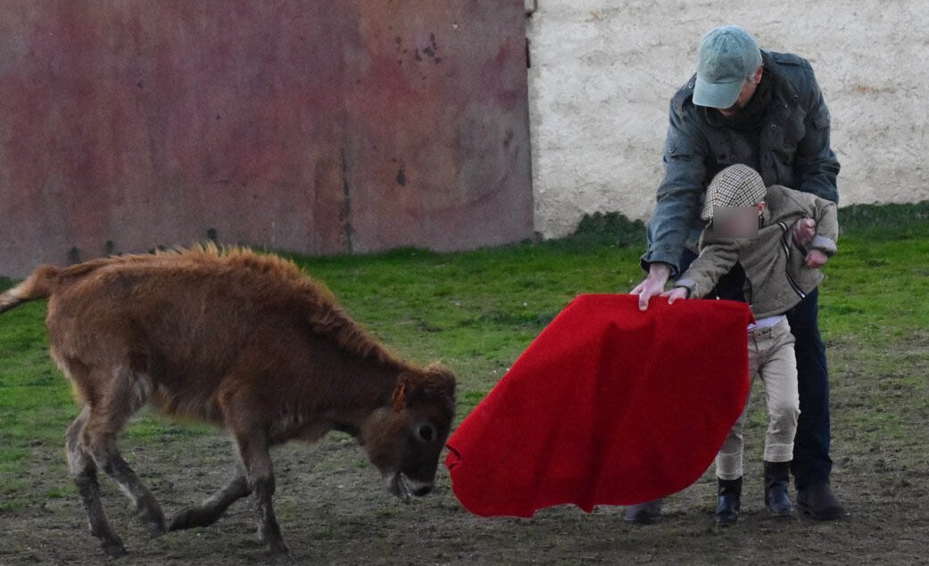ruben_prz's tweet photo. ESCUELA DE VIOLENCIA 😳

Escuela taurina de Salamanca, enseñando a maltratar animales desde los 8 años. 

Es una vergüenza dedicar ni un solo céntimo público a esta aberración. https://t.co/NHE3P3C7sA