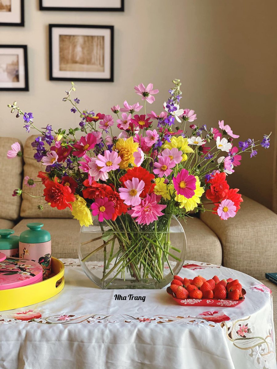 Phương Linh tweet media