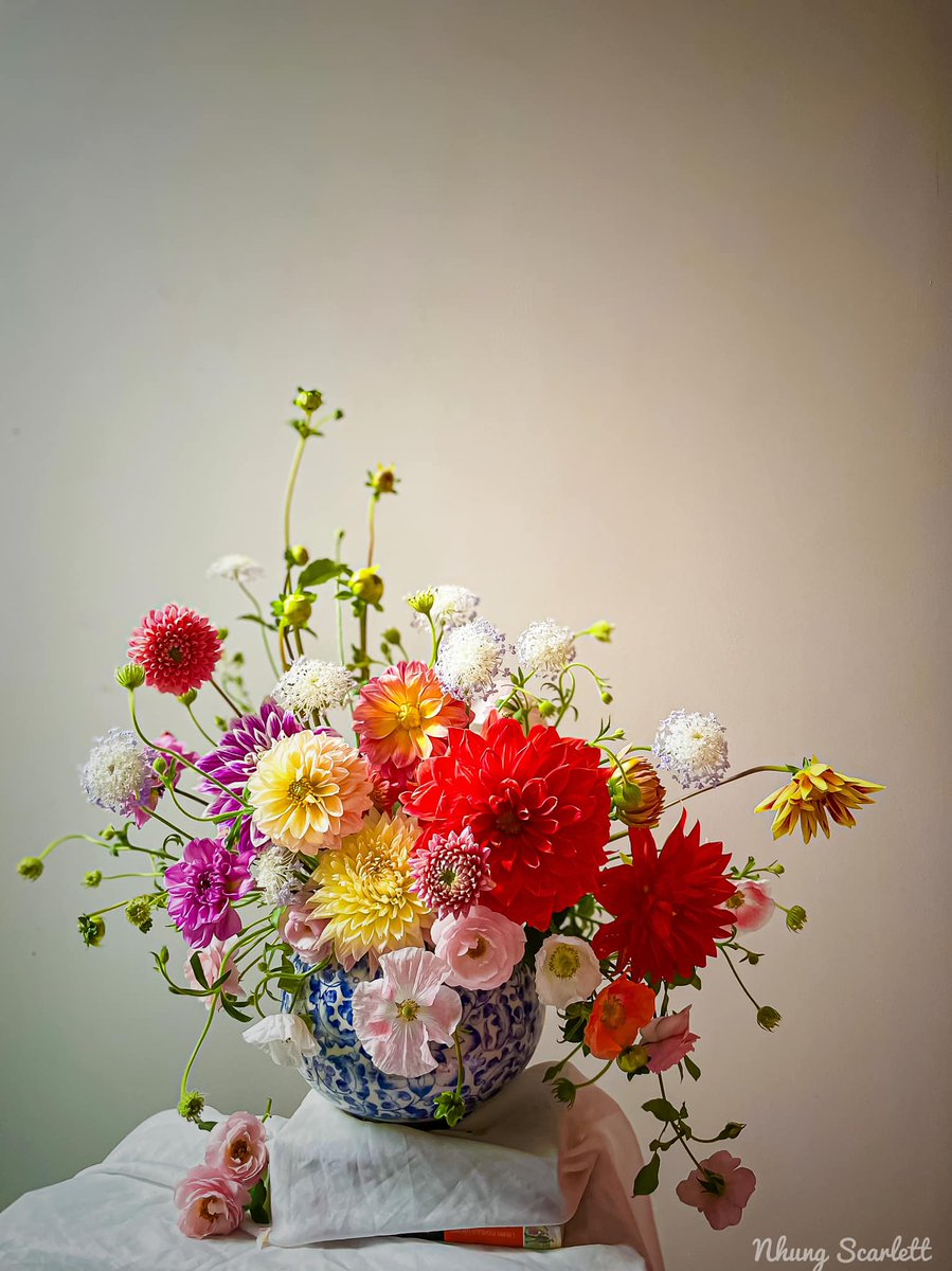 Phương Linh tweet media